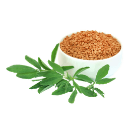 Methi Beej