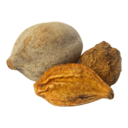 Triphala